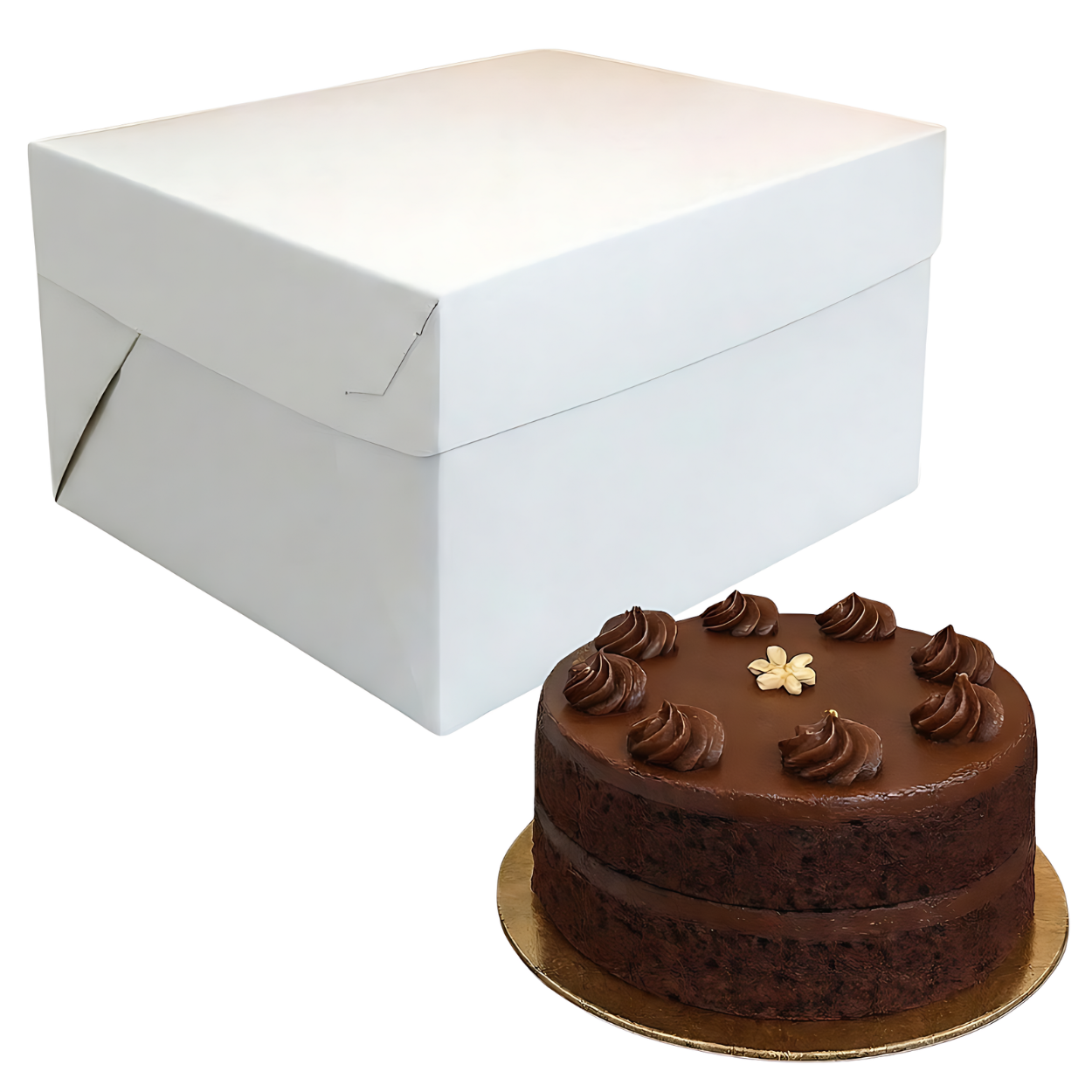 Caja Blanca Lisa para Pastel - 20x20x16cm, 10 Piezas